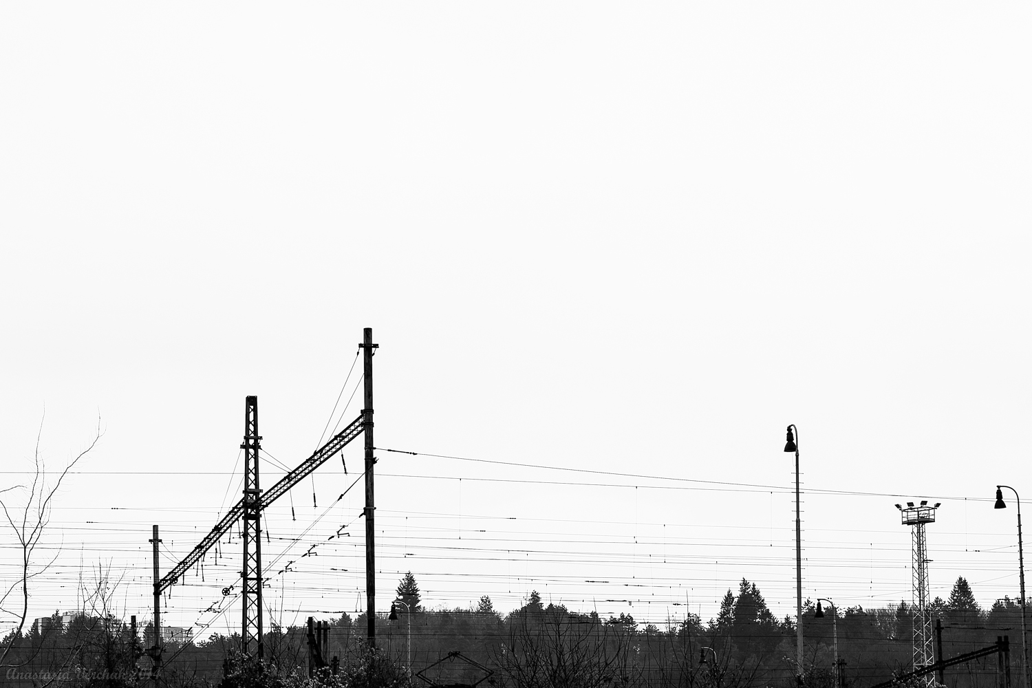 AJ3B0637