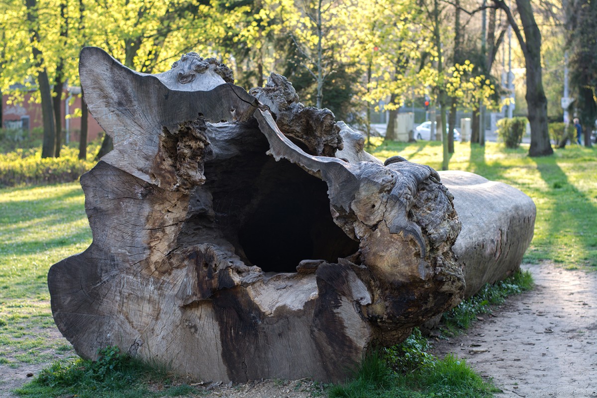 brno-pavilion-anthropos-1